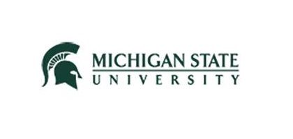 Green Spartan helmet and text logo