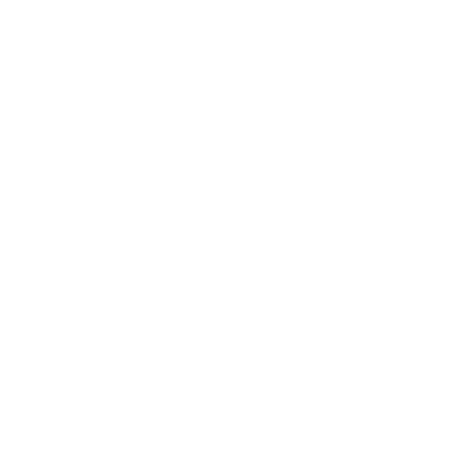 insurance icon